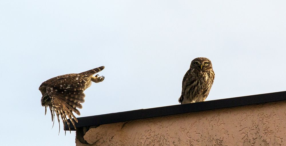 Photograph by Евгений Цапенко