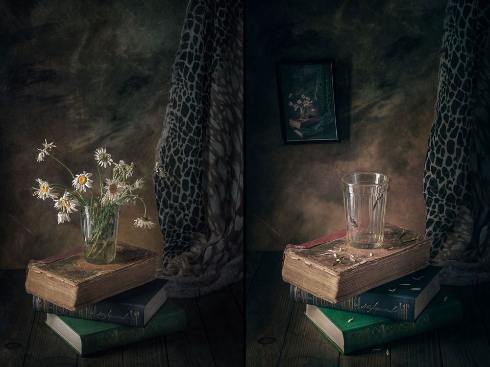 Увядающие ромашки и пустой стакан/Fading daisies and an empty glass