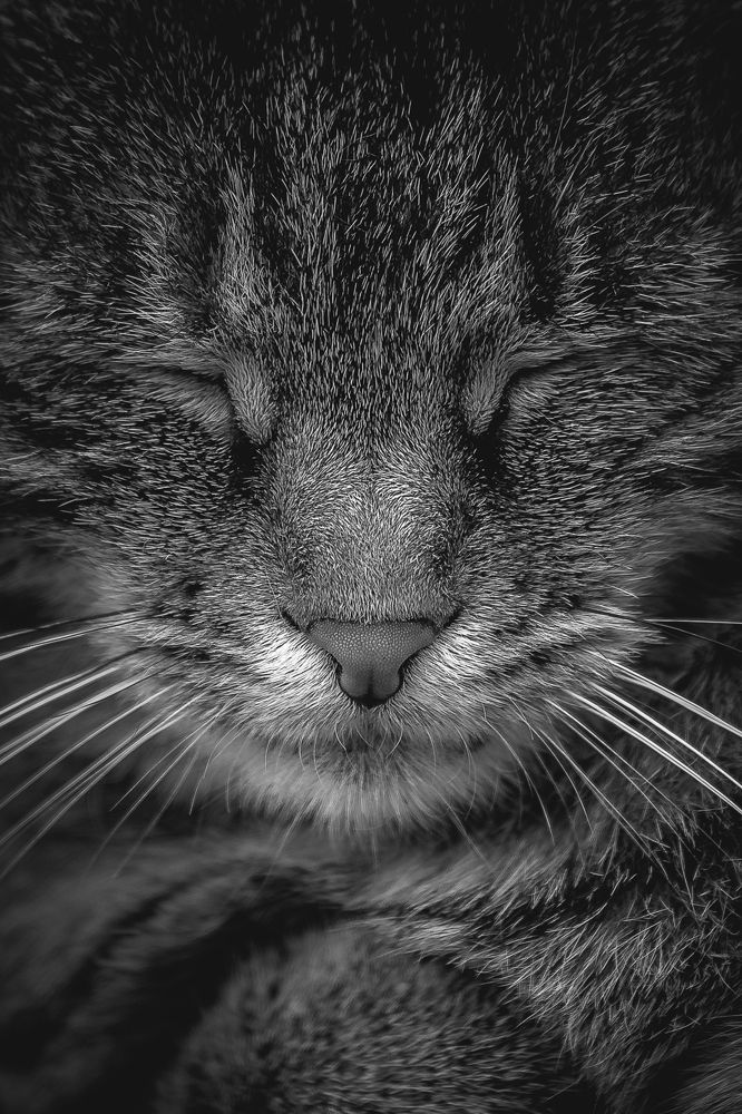 Photograph by Дмитрий Казачек