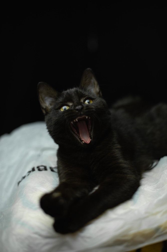 Photograph by Anastasiya Kobeleva