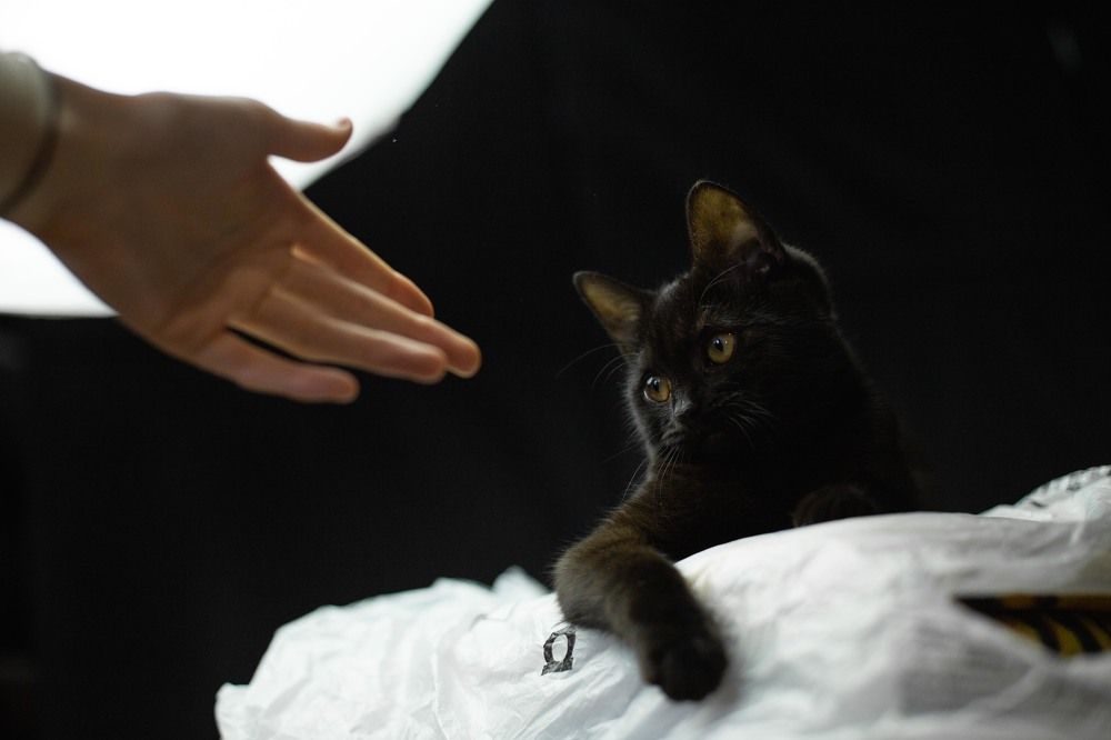 Photograph by Anastasiya Kobeleva