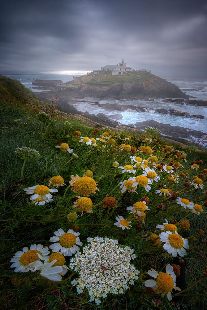 Photograph by Camacho Anto