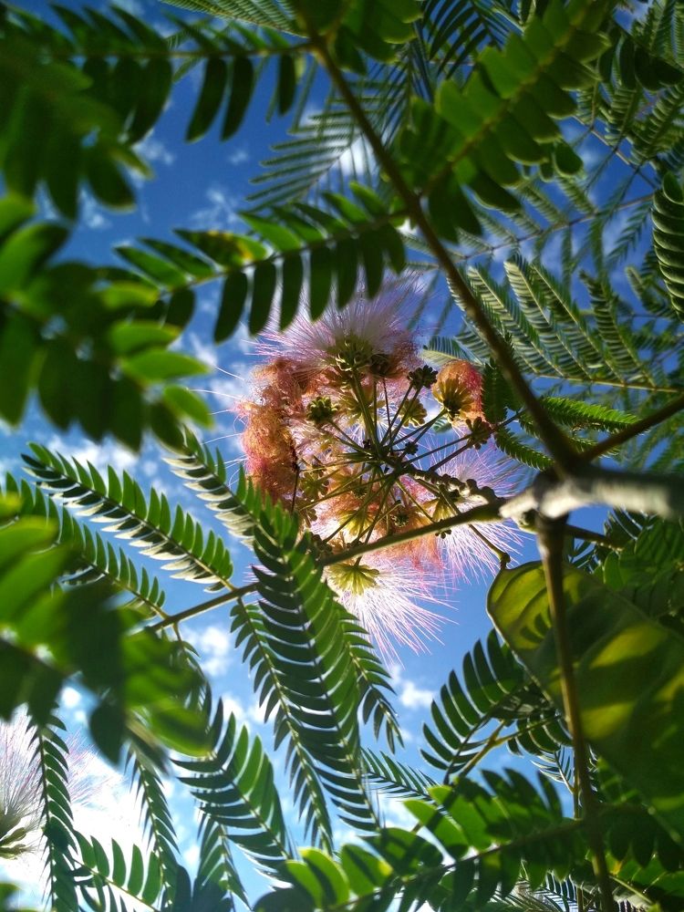 Photograph by Дарья Зотова