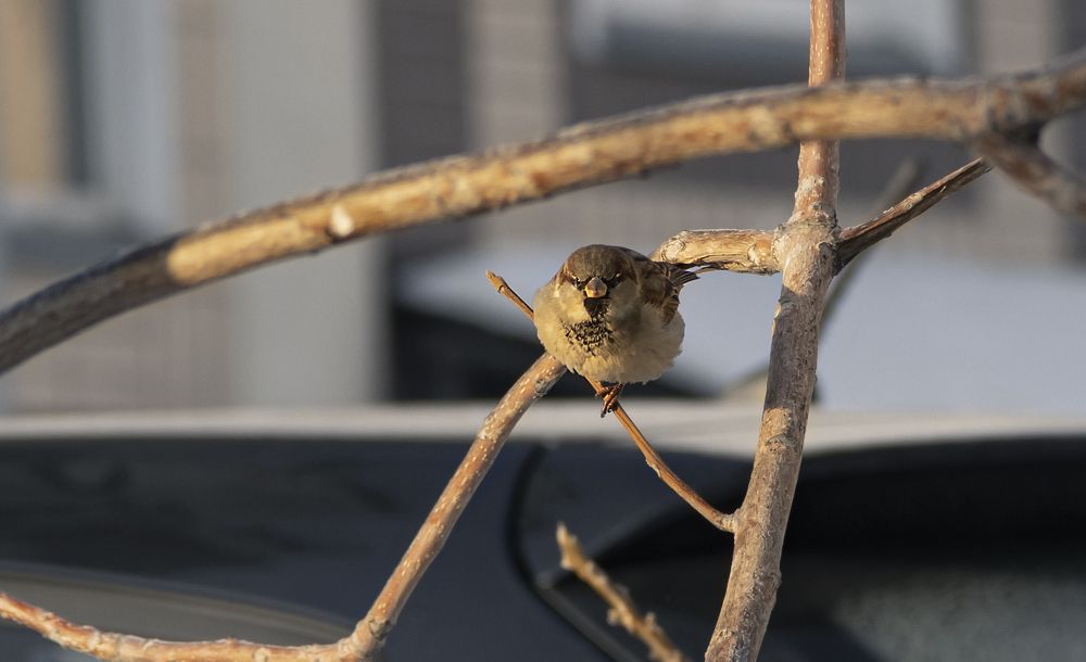 Photograph by Мария