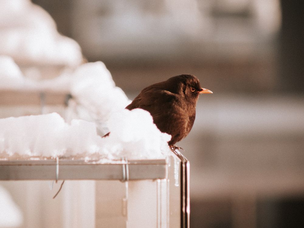 Photograph by Liudmila Kirillova