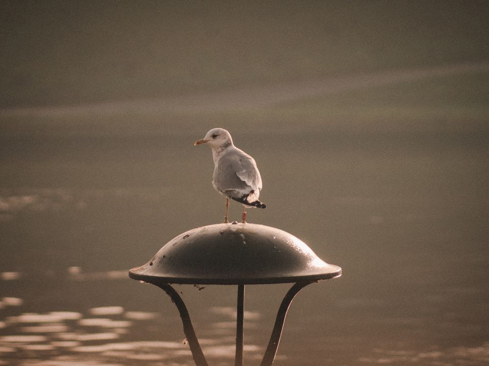 Photograph by Liudmila Kirillova