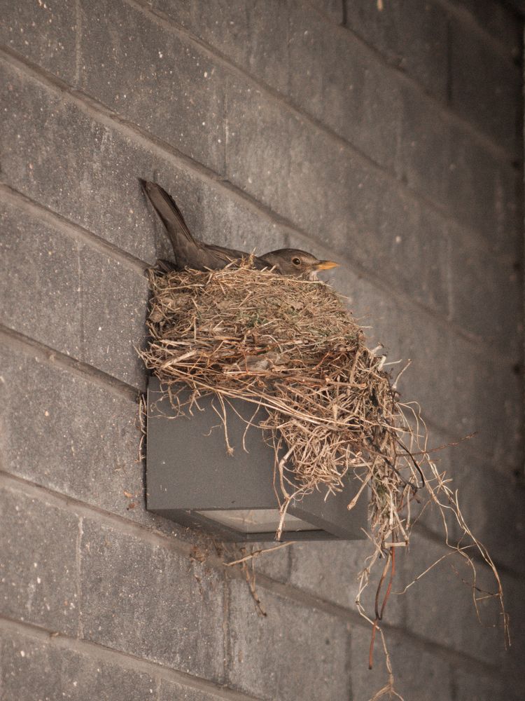 Photograph by Liudmila Kirillova