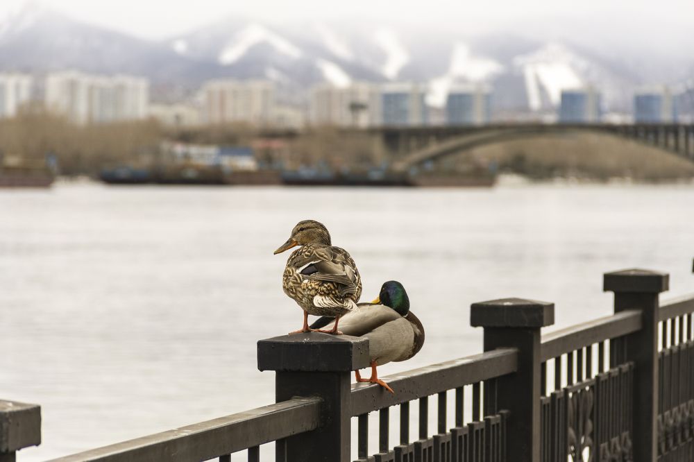 Photograph by Мария