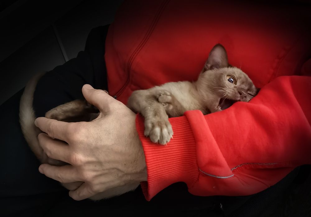 Photograph by Наталия Моргунова