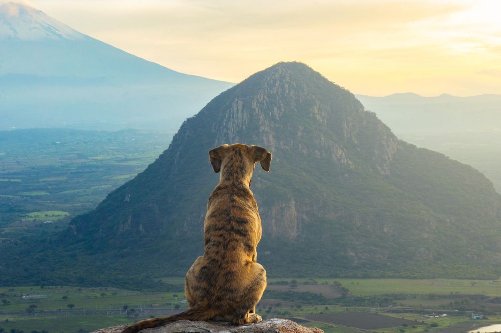 Photograph by Jaime Trejo