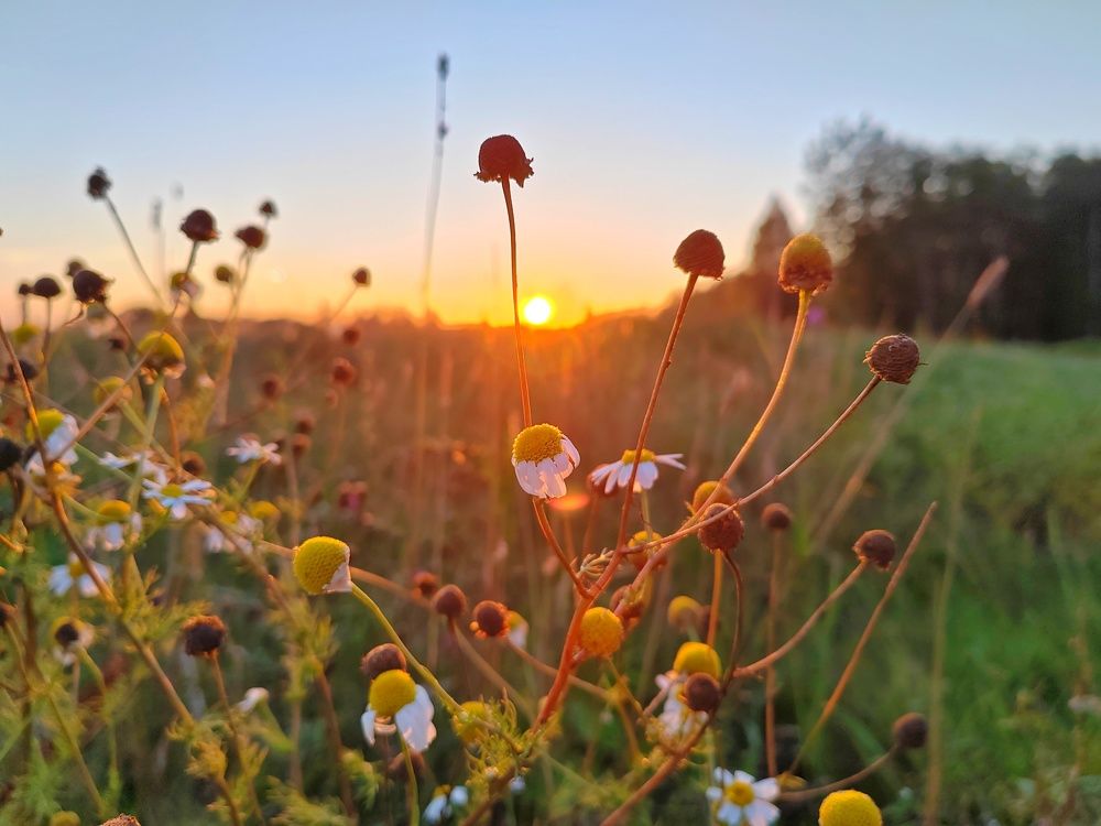 Photograph by Margareth Tikhonova