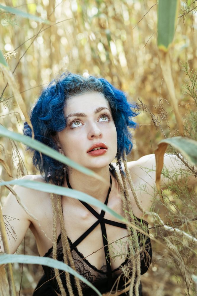 Фотография автора Alex Lerner