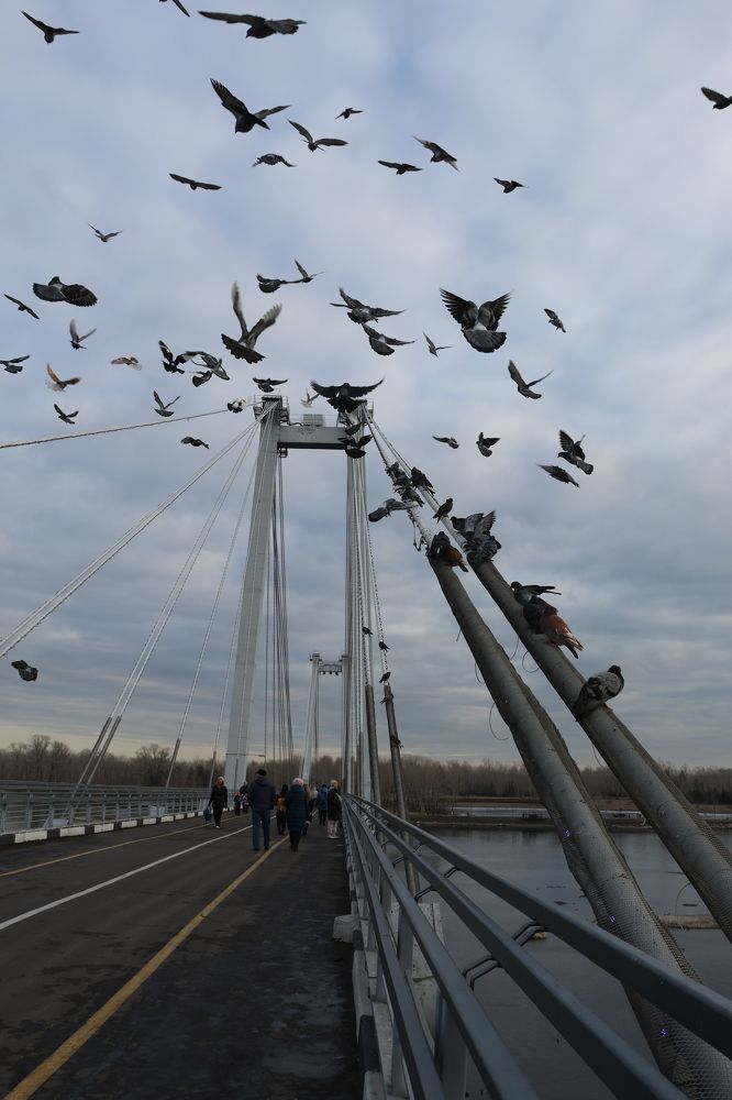 Photograph by Мария