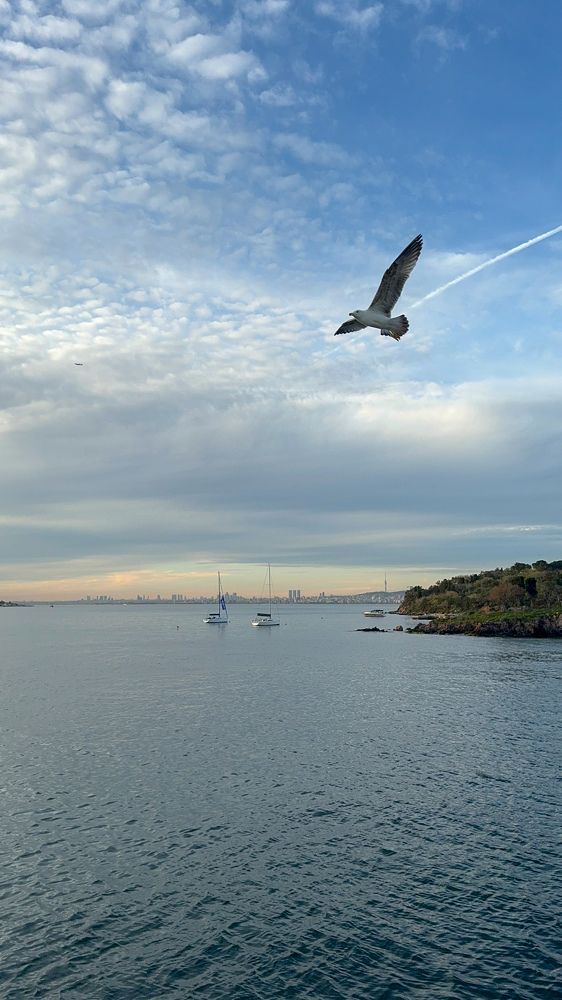 Photograph by Екатерина Мирошникова