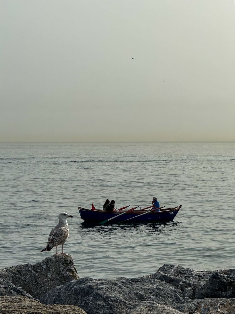 Photograph by Екатерина Мирошникова