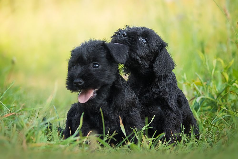 Photograph by Виктория Мамаева