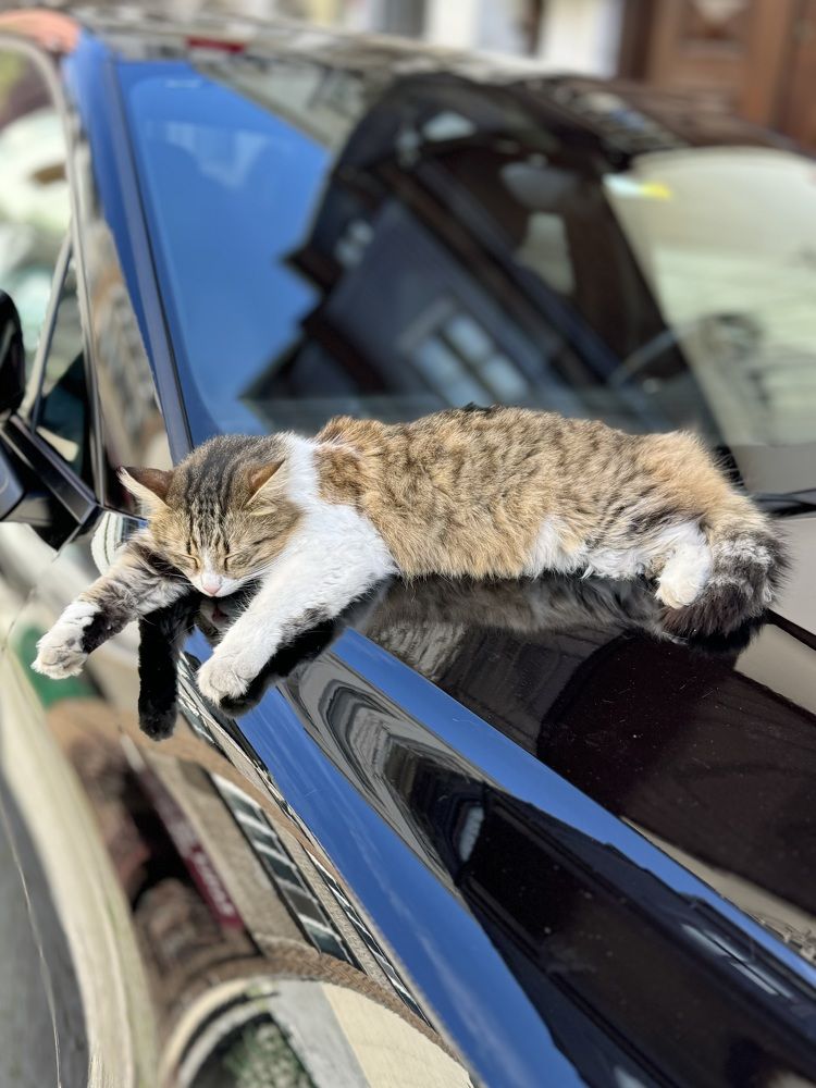 Photograph by Екатерина Мирошникова