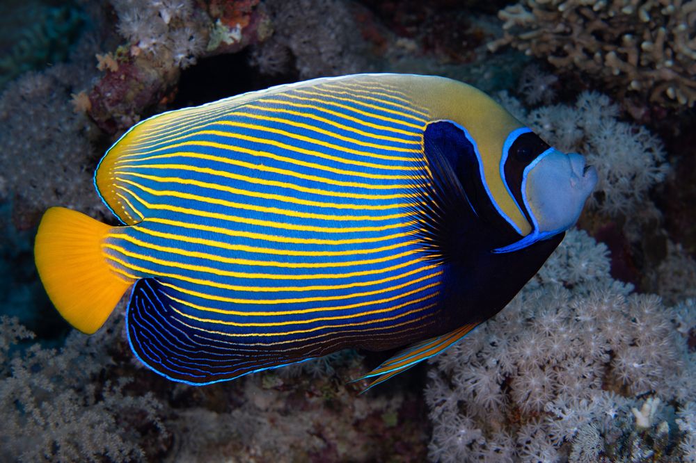 Photograph by Santiago Estrada R