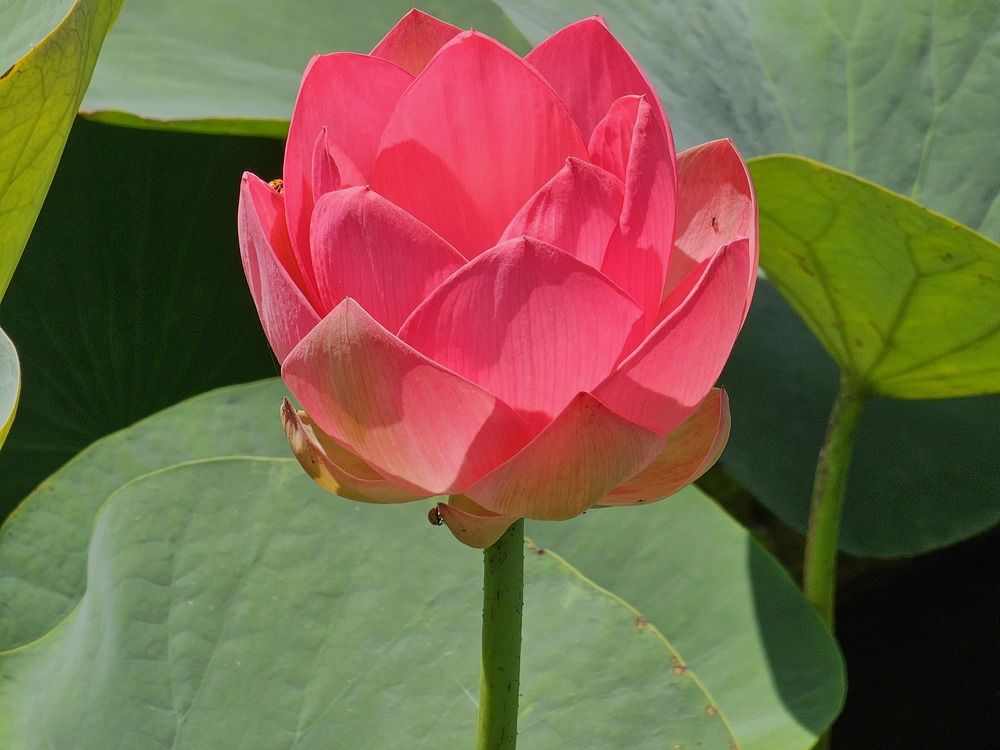 Photograph by Наталья Баранова