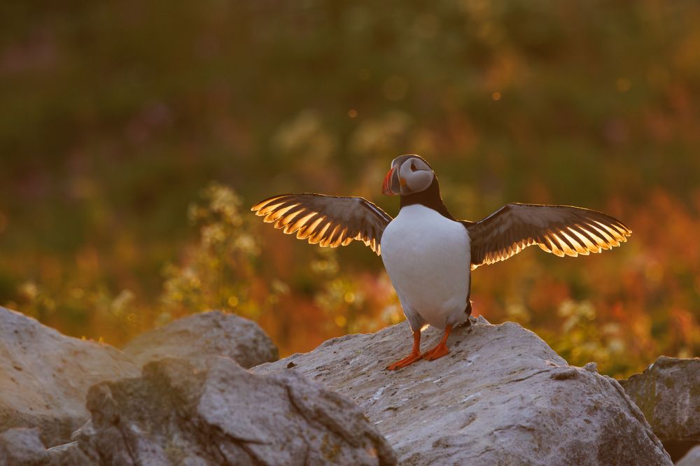 Photograph by Valentin Kolinko