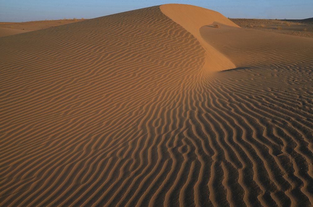 Photograph by Kaushik Dolui