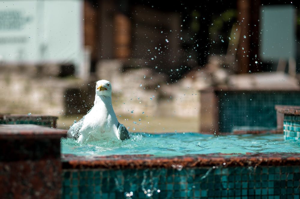 Photograph by Рагинская Ольга