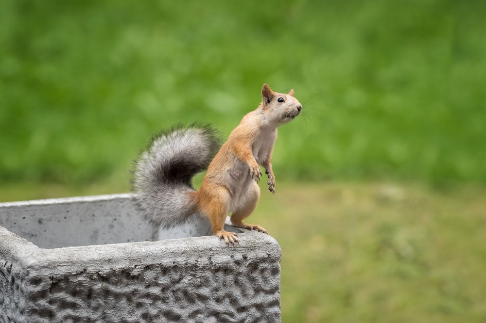 Photograph by Рагинская Ольга