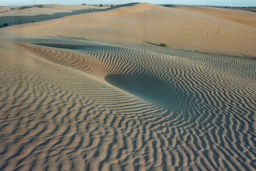 Photograph by Kaushik Dolui