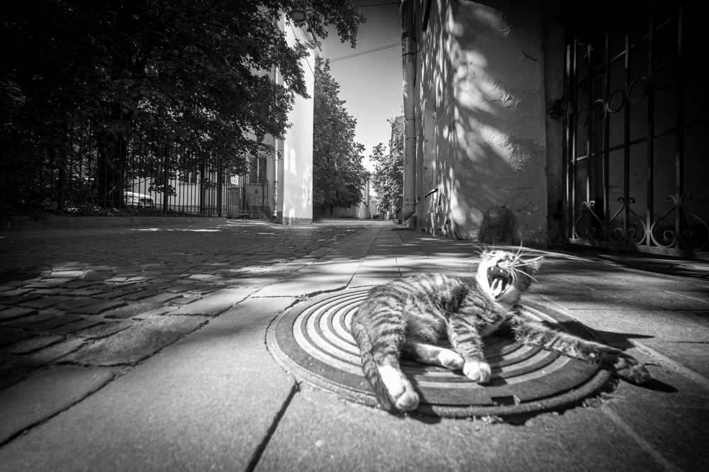 Проходите...