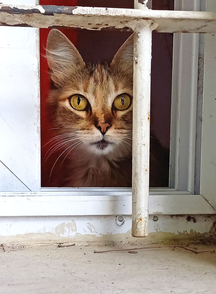 Photograph by GLEYDA GUTIÉREZ