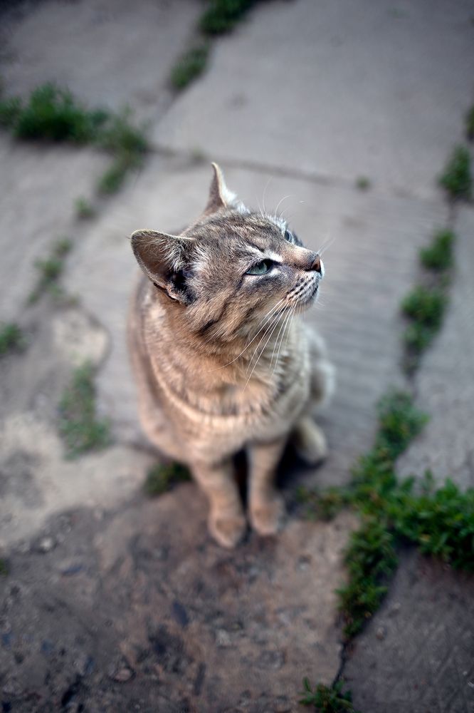 Photograph by Ворошилов Александр