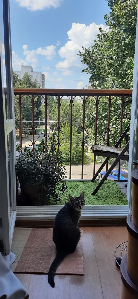 Фотография автора Василиса Новикова