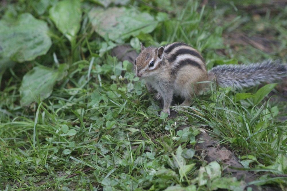 Photograph by Владимир Юрченко
