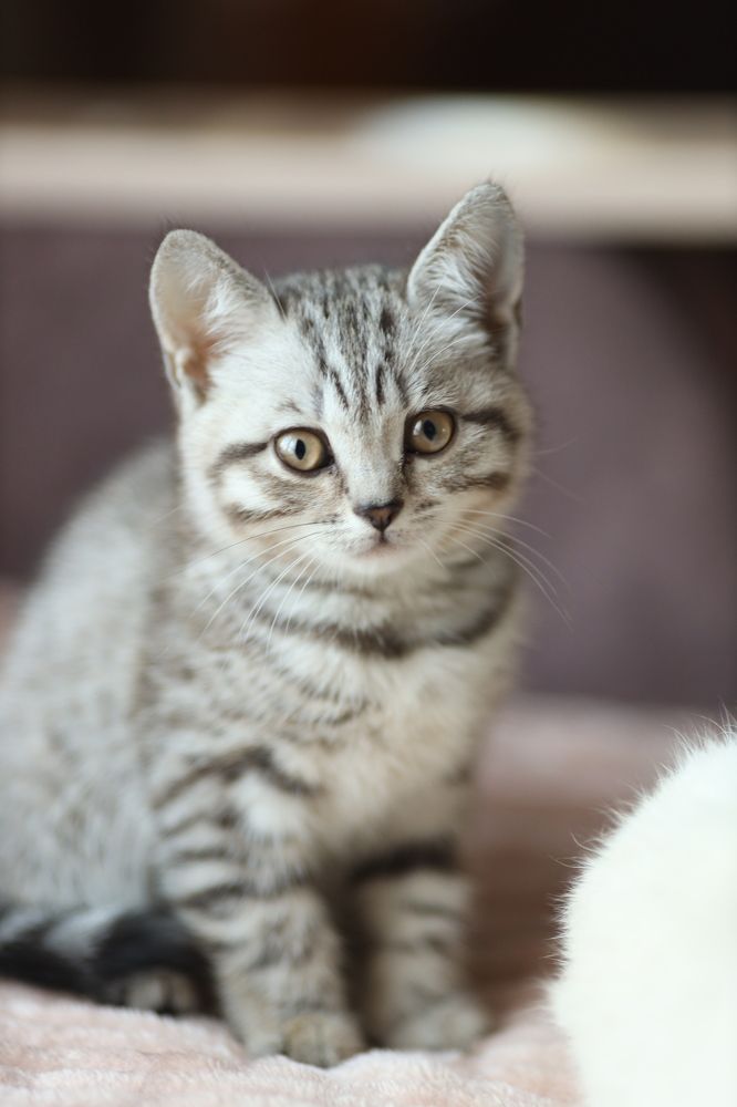 Photograph by Светлана Шевченко