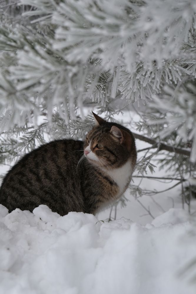 Photograph by Надежда Кангина