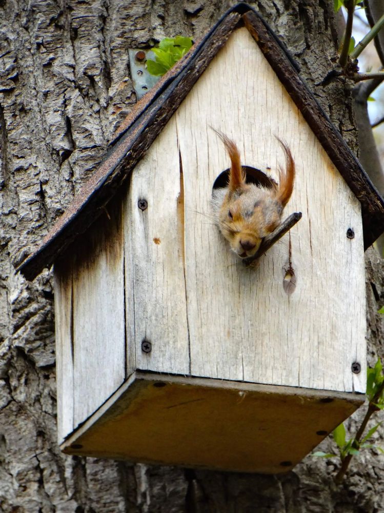 Photograph by Анжелика Трошина