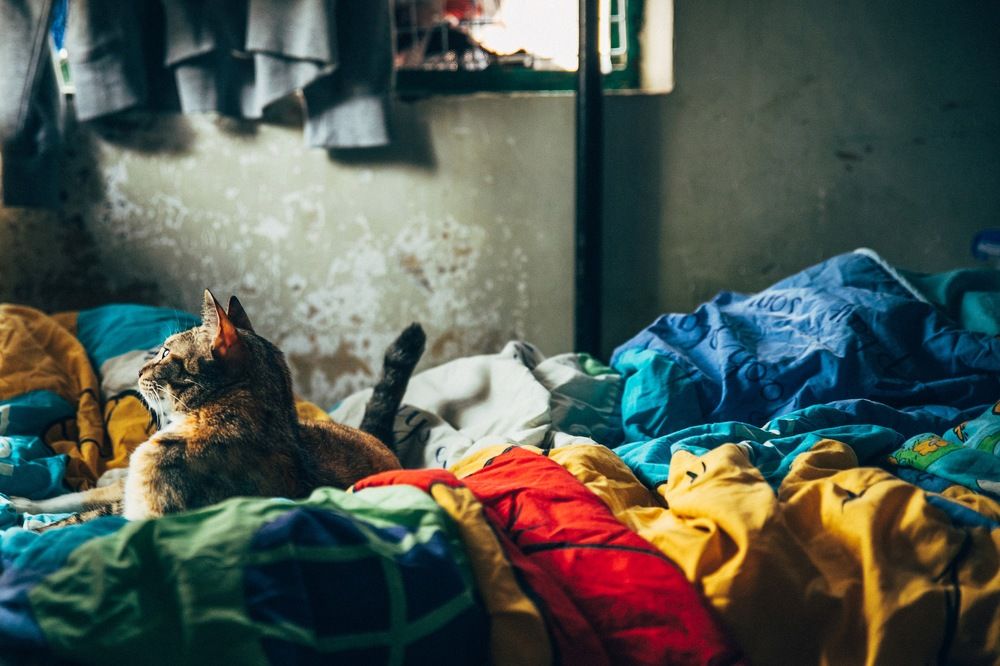 Фотография автора Hei Nam Liu