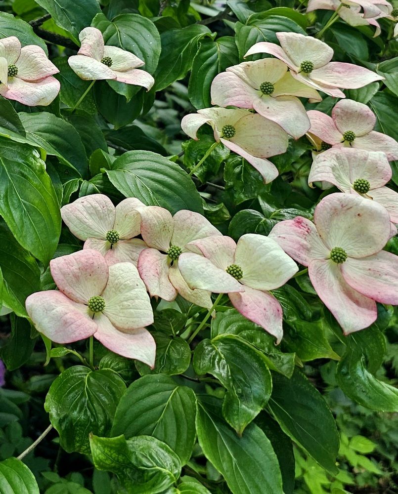 Photograph by Angelika Sokolova