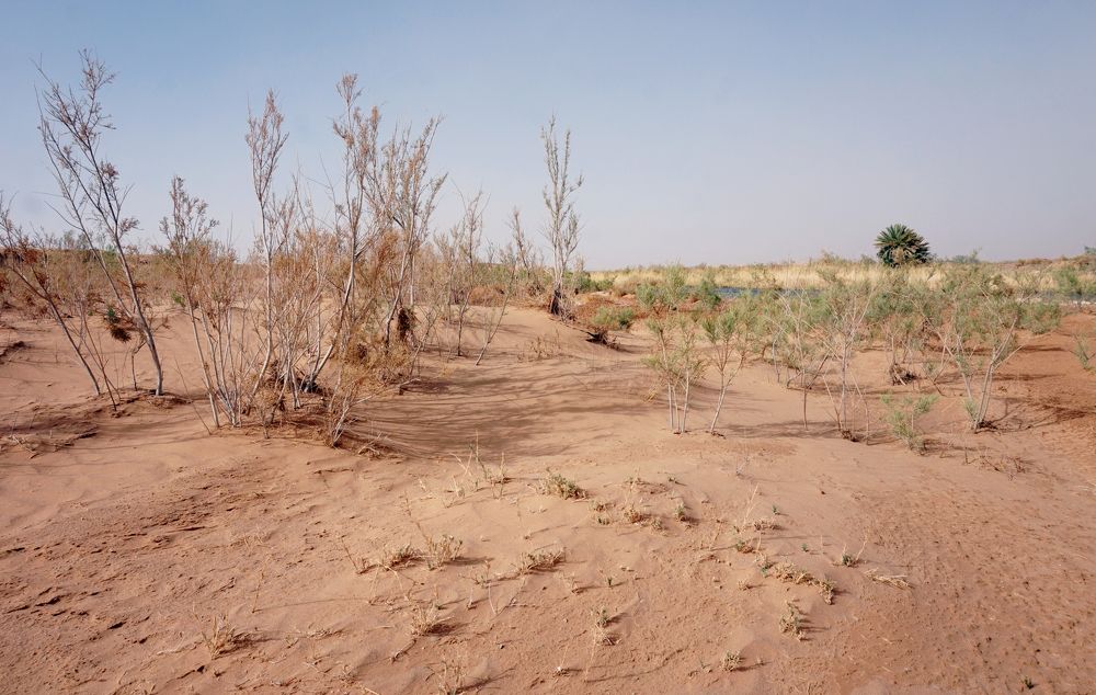 Photograph by Лена Максимкина