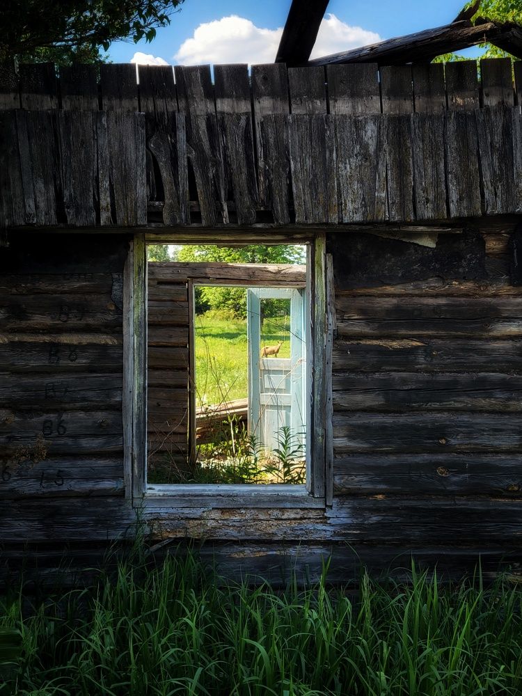 Photograph by Алина