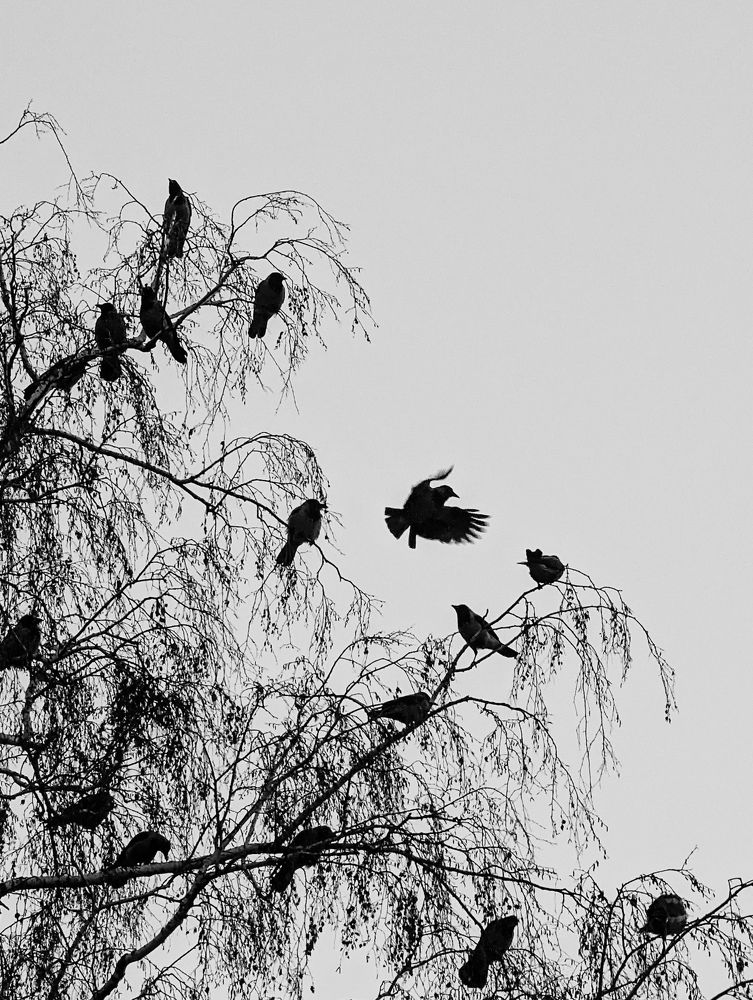 Фотография автора Мария Михайлова