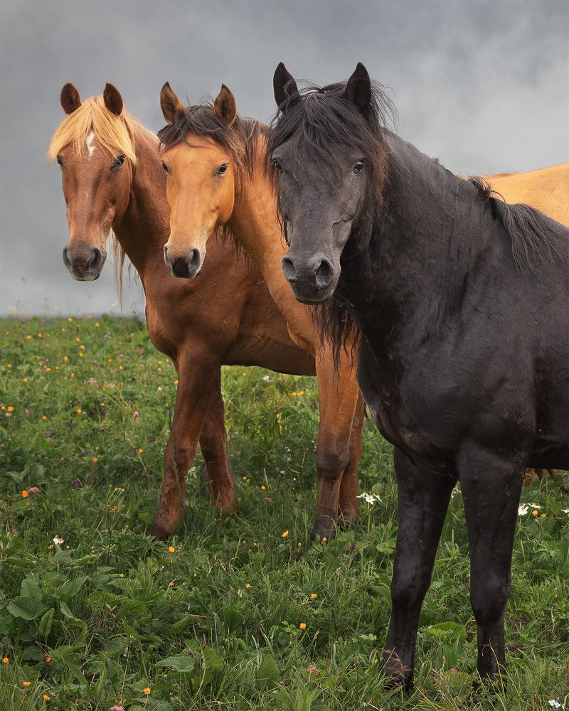 Photograph by Руднев Юрий