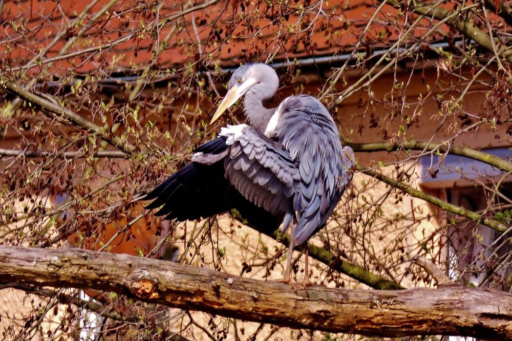 Photograph by backareva irina