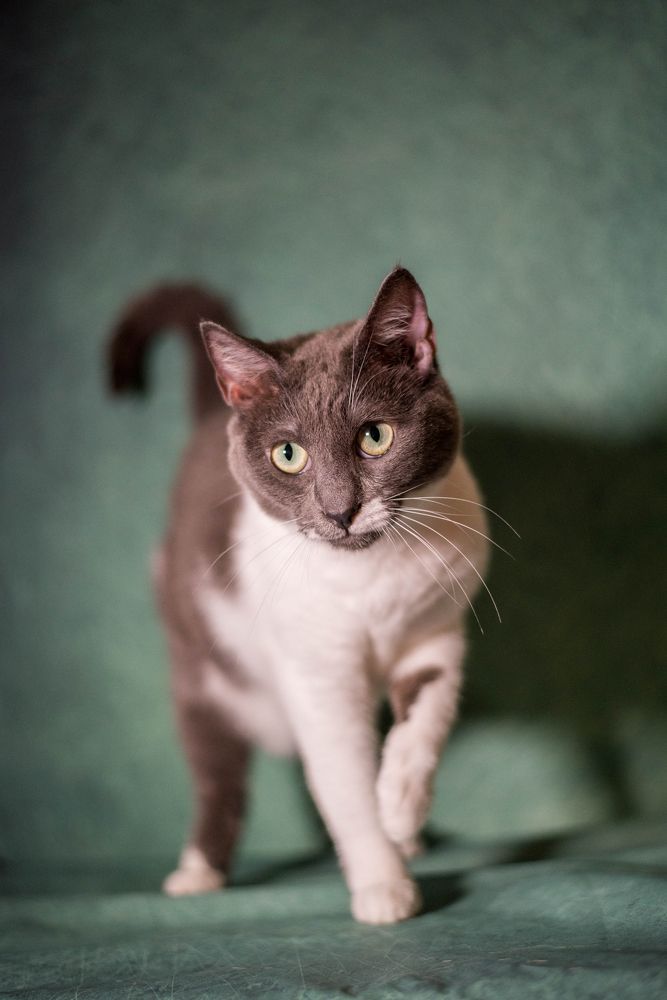 Photograph by Екатерина