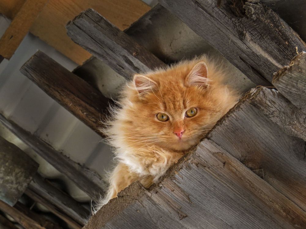 Photograph by Нина Будникова