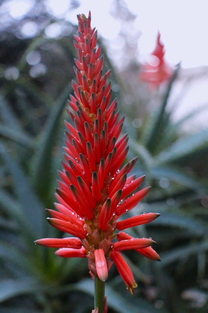 Photograph by Людмила Бутова