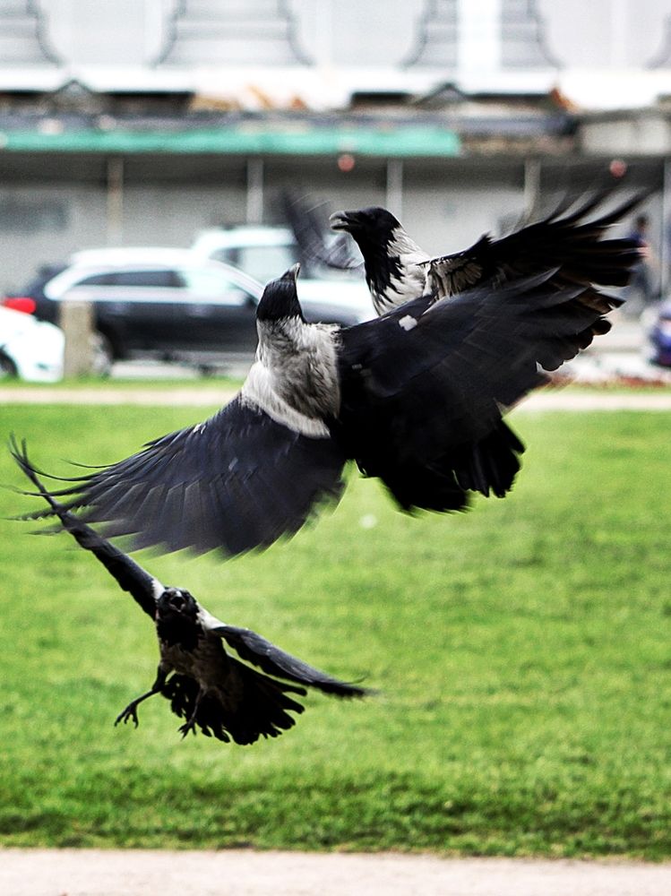 Photograph by Алексей Коношонкин