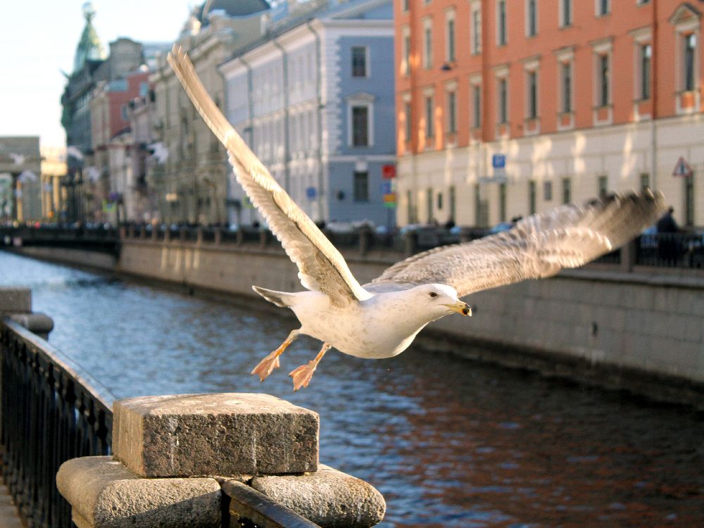 Photograph by Алексей Коношонкин