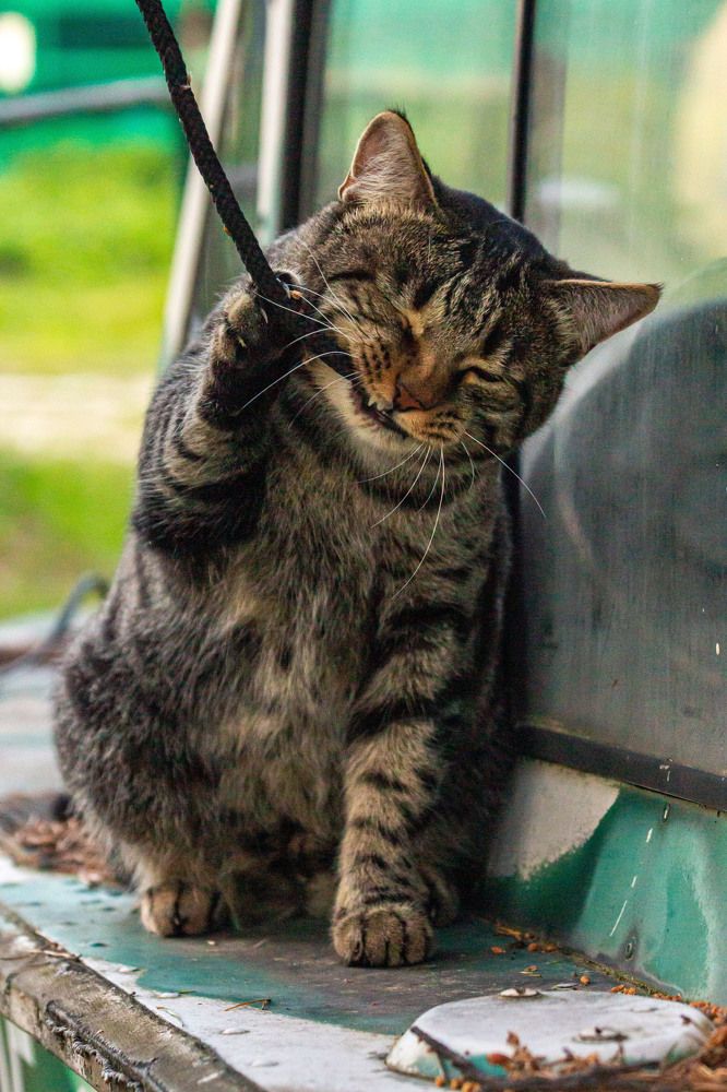 Photograph by Мария Степанова