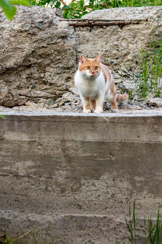 Photograph by Мария Степанова